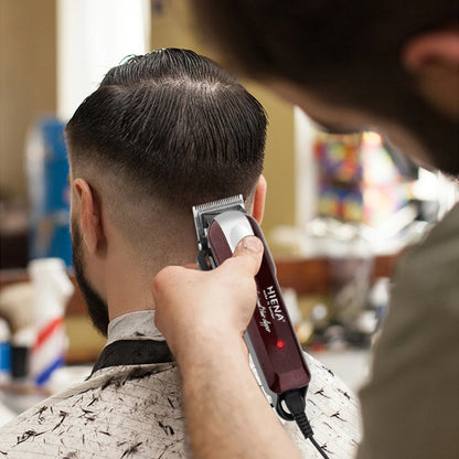 Tondeuse à cheveux électrique sans fil HIENA